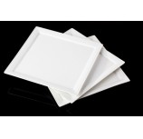 LY10023 Plate
